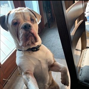 Meet your Posher, Stephen